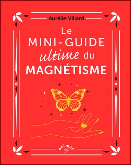 Le Mini-guide ultime du magnétisme