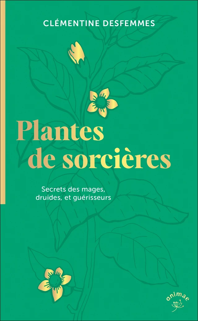 Plantes de sorcières - Clémentine Desfemmes - Éditions Animae